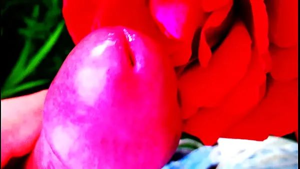 Hot Red Rose วิดีโอใหม่