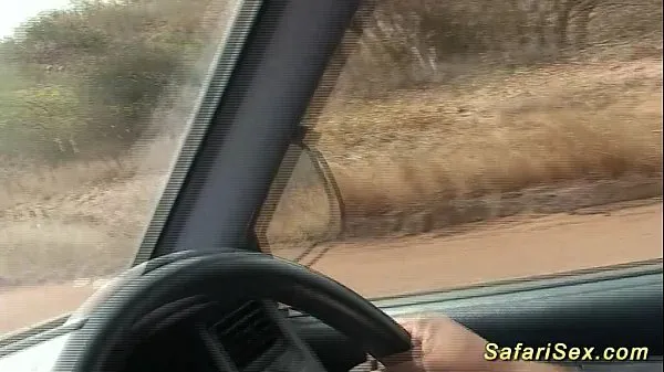 Hot backseat jeep fuck at my safari sex tour วิดีโอใหม่