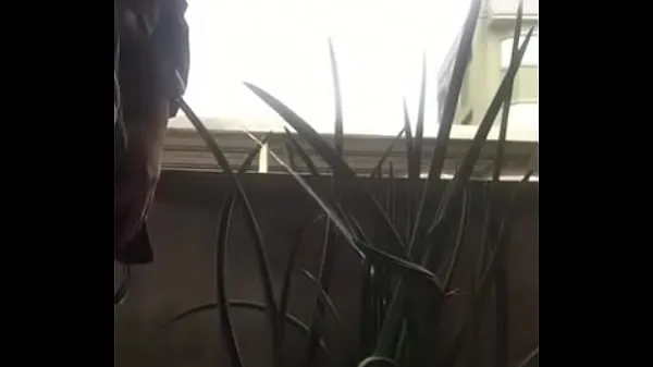 Populárne Pee in the flowerpot nové videá