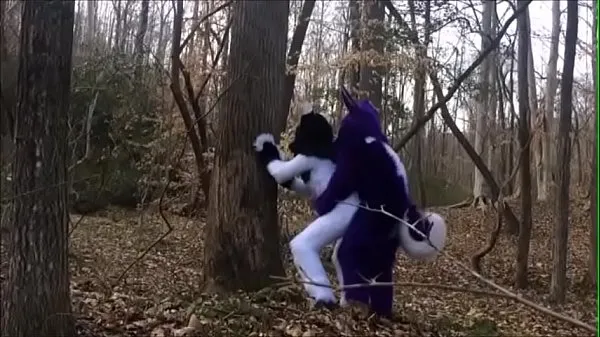 مشہور Fursuit Couple Mating in Woods نئے ویڈیوز