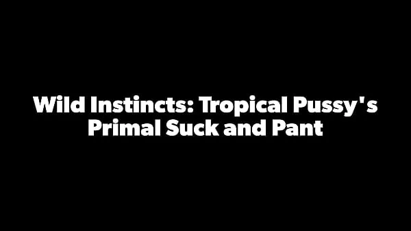Καυτά Tropicalpussy - update - Wild Instincts: Tropical Pussy's Primal Suck and Pant - Dec 26, 2023 νέα βίντεο